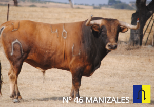 Murteira Grave nº46 Manizales