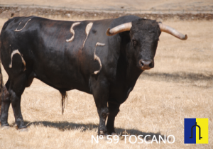 Murteira Grave nº59 Toscano