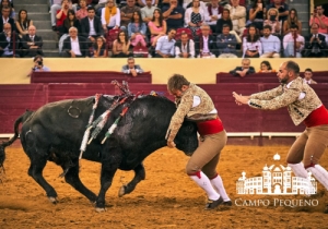 20190725 CPQ.CORRIDA.FH0055