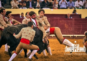 20190725 CPQ.CORRIDA.FH0182