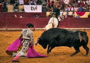 20190808 CPQ.CORRIDA.FH0032
