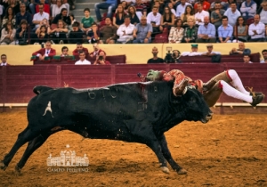 20190808 CPQ.CORRIDA.FH0041