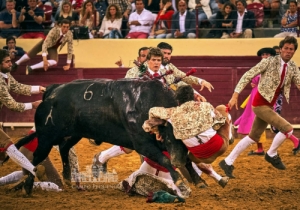 20190808 CPQ.CORRIDA.FH0072