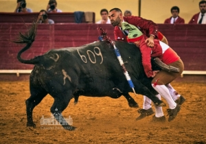 20190808 CPQ.CORRIDA.FH0094