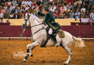 20190808 CPQ.CORRIDA.FH0098