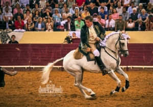 20190808 CPQ.CORRIDA.FH0107