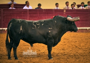 20190808 CPQ.CORRIDA.FH0120