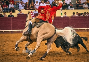 20190808 CPQ.CORRIDA.FH0128