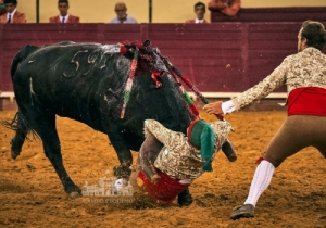 20190808 CPQ.CORRIDA.FH0146