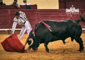 20190823 CPQ.CORRIDA.FH0011