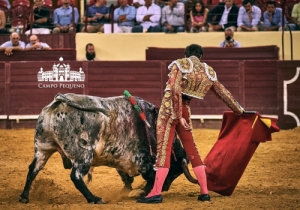 20190823 CPQ.CORRIDA.FH0083