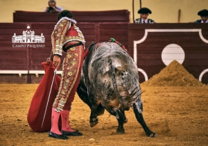 20190823 CPQ.CORRIDA.FH0097