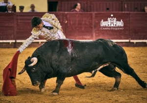 20190823 CPQ.CORRIDA.FH0112