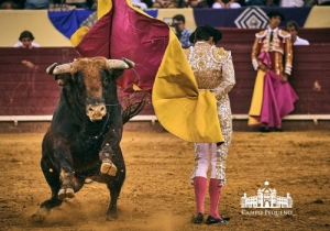 20190823 CPQ.CORRIDA.FH0144