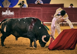 20190823 CPQ.CORRIDA.FH0175