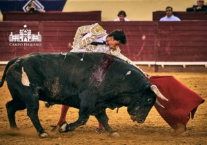 20190823 CPQ.CORRIDA.FH0179
