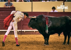 20190823 CPQ.CORRIDA.FH0187