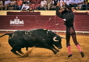20190823 CPQ.CORRIDA.FH0195