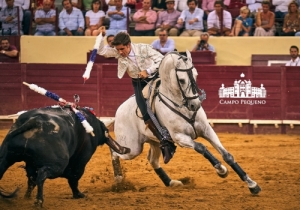 20190905 CPQ.CORRIDA.FH0079