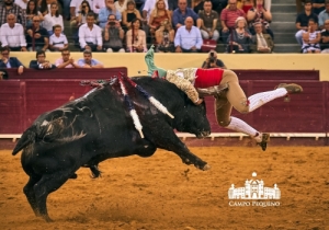 20190905 CPQ.CORRIDA.FH0084
