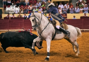 20190905 CPQ.CORRIDA.FH0118