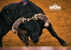 20190905 CPQ.CORRIDA.FH0132