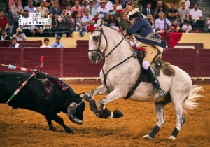 20190905 CPQ.CORRIDA.FH0217