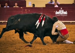 20190905 CPQ.CORRIDA.FH0271