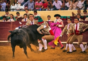 20190905 CPQ.CORRIDA.FH0311