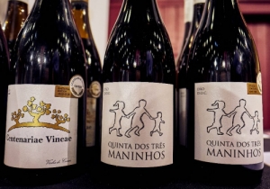 20191019 MERCADO VINHO CPQ 0049