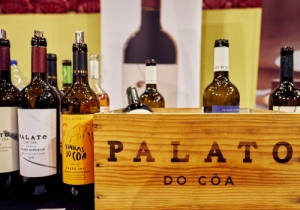 20191019 MERCADO VINHO CPQ 0173