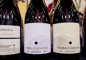 20191019 MERCADO VINHO CPQ 0201