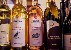 20191019 MERCADO VINHO CPQ 0262
