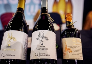 20191019 MERCADO VINHO CPQ 0295