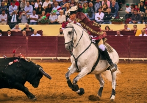 20191010 CPQ.CORRIDA0054