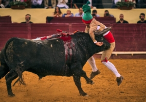 20191010 CPQ.CORRIDA0062