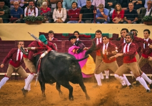 20191010 CPQ.CORRIDA0084