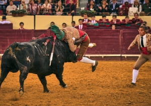 20191010 CPQ.CORRIDA0111