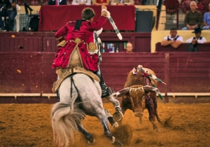 20190927 CPQ.CORRIDA0096