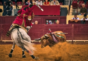 20190927 CPQ.CORRIDA0098