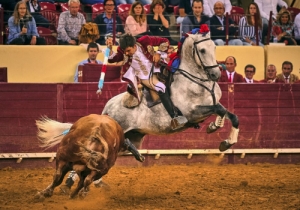 20190927 CPQ.CORRIDA0144