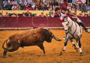 20190927 CPQ.CORRIDA0171