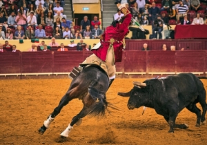 20190927 CPQ.CORRIDA0223