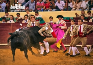 20190905 CPQ.CORRIDA.FH0311